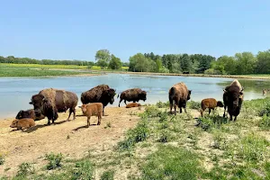 Wildlife Prairie Park image