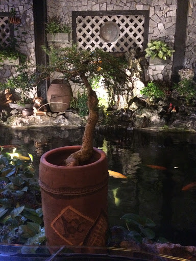 Top 20 quán cafe sân vườn Thành phố Đông Hà Quảng Trị 2022