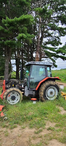 Winery «Echo Hill Orchards & Winery», reviews and photos, 101 Wilbraham Rd, Monson, MA 01057, USA