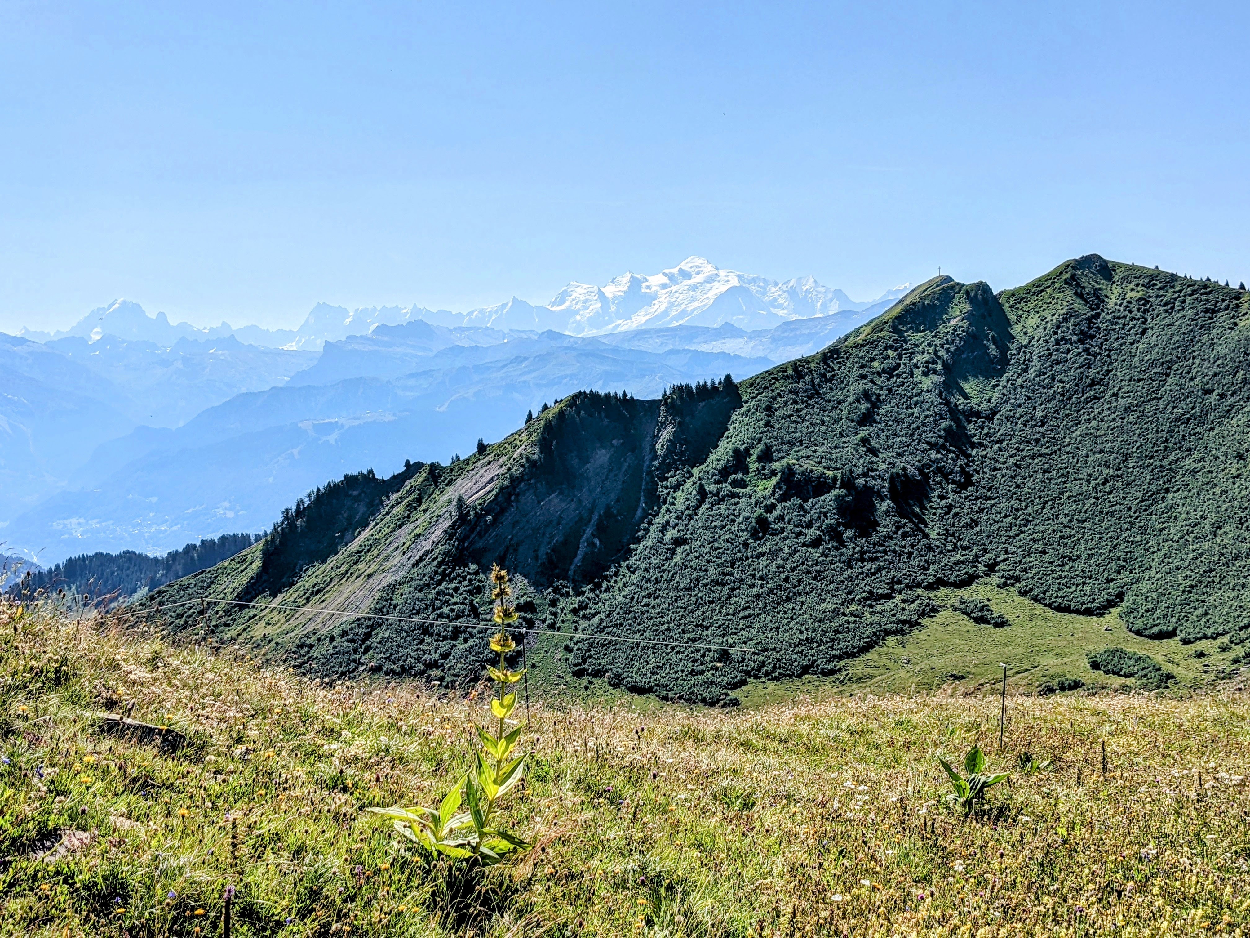 Photo n° 7 de l'avis de laurents71. fait le 19/07/2022 à 19:24