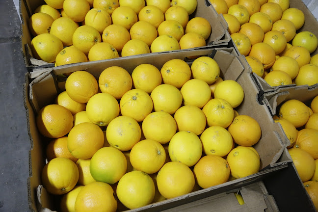 Стоково тържище Родопи 95 - Родопи