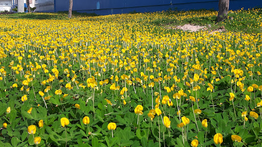 Top 15 các cửa hàng shat Huyện Bàu Bàng Bình Dương 2022