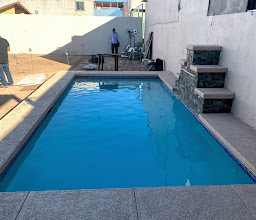 THE DOLPHIN SPLASH photo