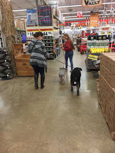 Hardware Store «Buchheit of Sparta», reviews and photos, 1817 N Market St, Sparta, IL 62286, USA