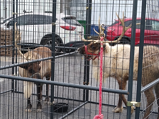 Discount Supermarket «Willow Creek Discount Grocery», reviews and photos, 30 Willow St, Reinholds, PA 17569, USA