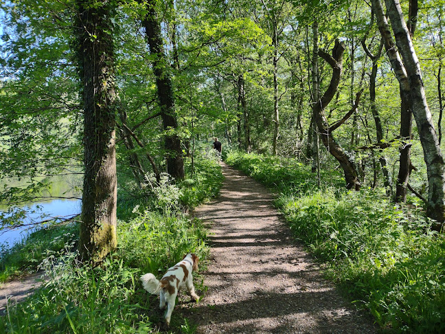 Reviews of RSPB Consall Woods in Stoke-on-Trent - Other
