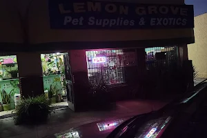 Lemon Grove Pet supplies and EXOTICS image