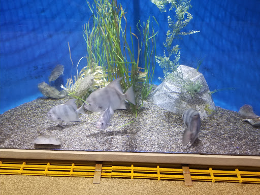 Aquarium «Woods Hole Science Aquarium», reviews and photos, 166 Water St, Woods Hole, MA 02543, USA