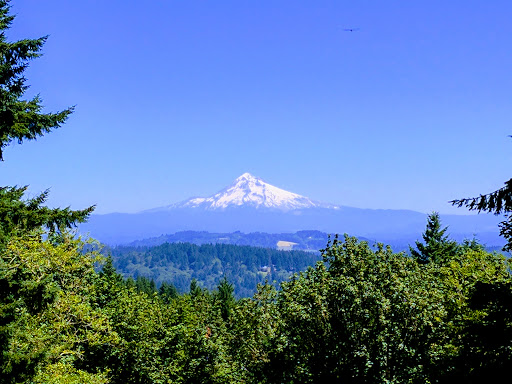 Scouters Mountain Nature Park