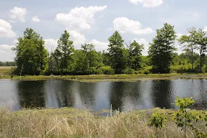 Indian Creek Wildlife Area image
