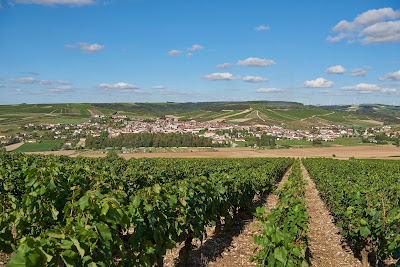 Domaine Grand Roche à Saint-Bris-le-Vineux