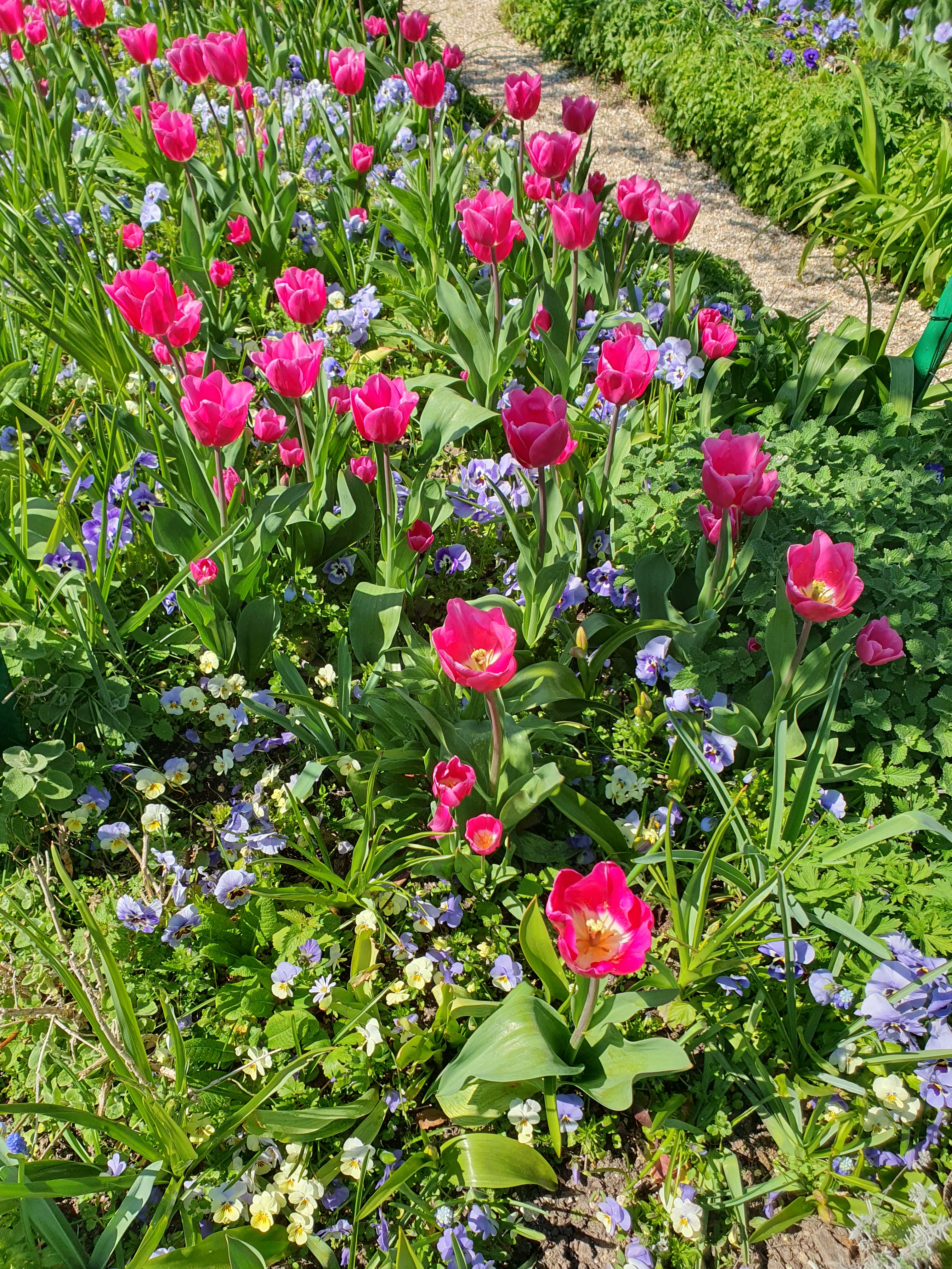 Photo n° 3 de l'avis de Camille. fait le 09/04/2023 à 04:07