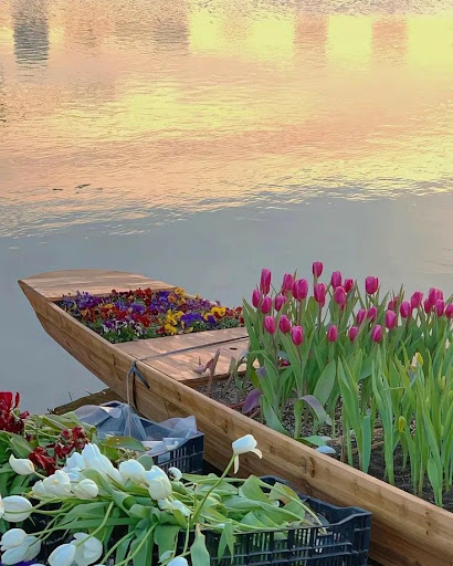 Florist «French Tulip Flower Shop», reviews and photos, 3903 24th St, San Francisco, CA 94114, USA