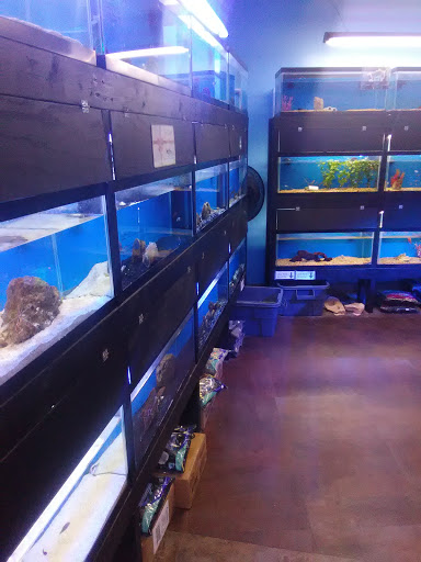Tropical Fish Store «Oceanside Aquariums», reviews and photos, 2176 N Mt Juliet Rd #105, Mt Juliet, TN 37122, USA