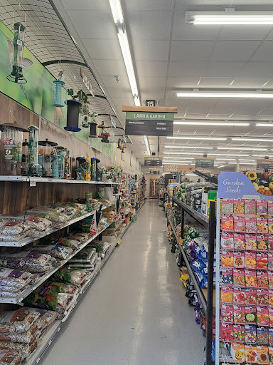 Ace Hardware of Zebulon