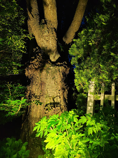 Electrician «AFT Electrical & Mechanical», reviews and photos, 39 Ballast Ln, Stewartstown, PA 17363, USA