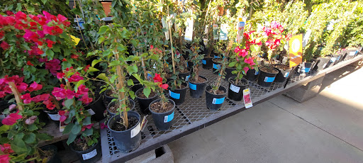 Electronics Store «Best Buy», reviews and photos, 13711 W Bell Rd, Surprise, AZ 85374, USA