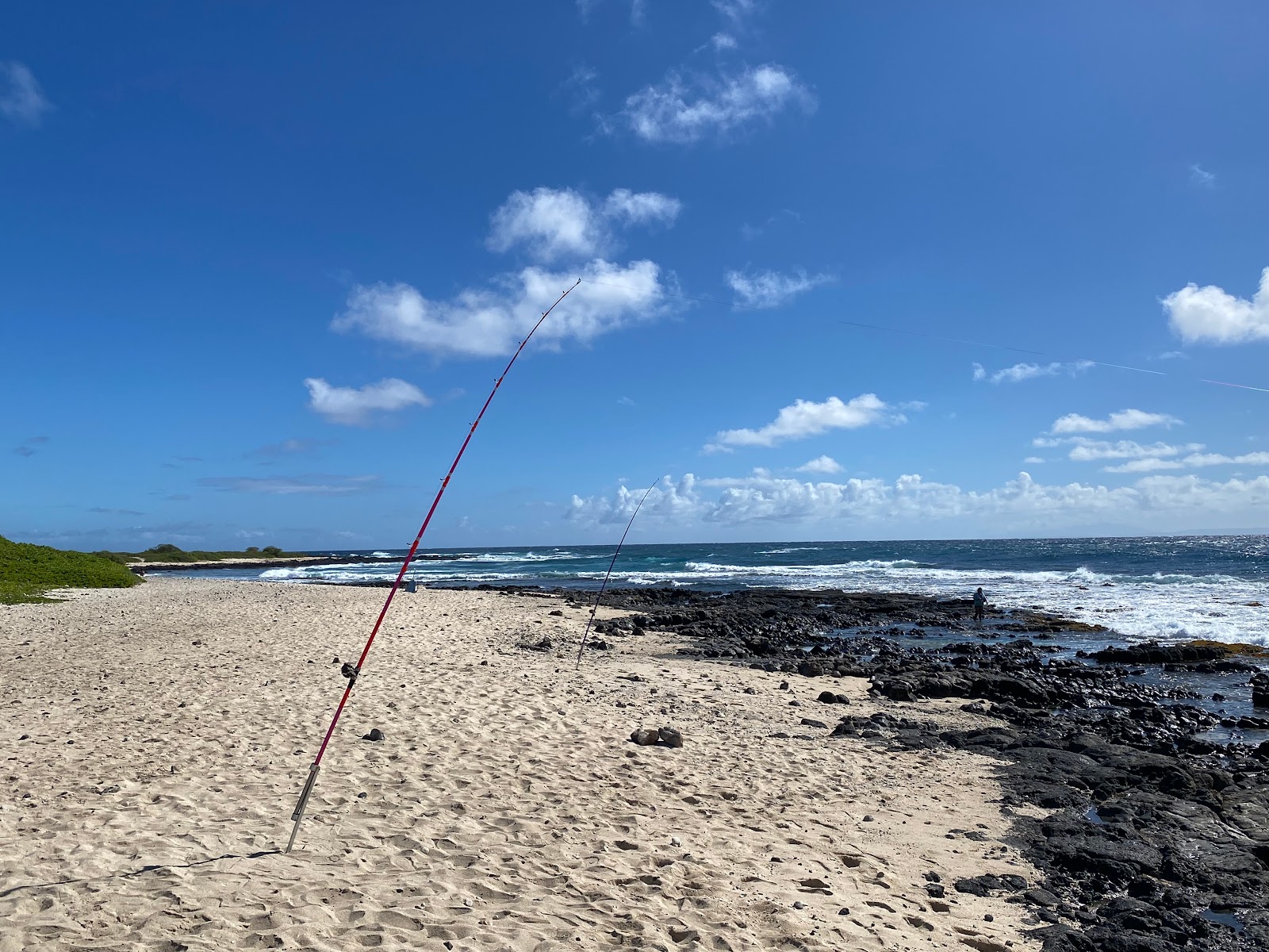 Foto van Sandy beach dunes met helder zand & rotsen oppervlakte