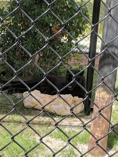 Tourist Attraction «Panther Ridge Conservation Center», reviews and photos, 14755 Palm Beach Point Blvd, Wellington, FL 33414, USA