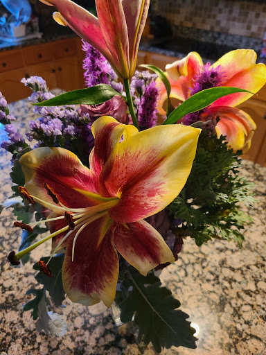 Florist «Holliday Flowers & Events Inc», reviews and photos, 1149 Union Ave, Memphis, TN 38104, USA