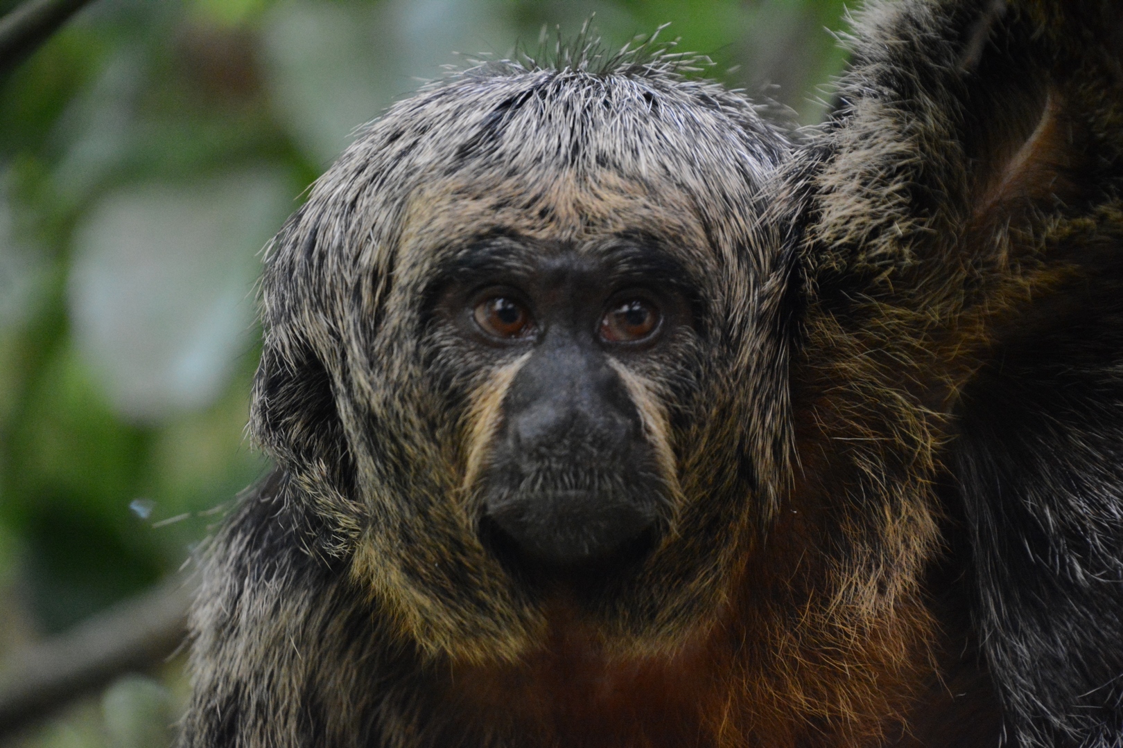 Photo n° 13 de l'avis de Laurent.E fait le 19/09/2023 à 20:20