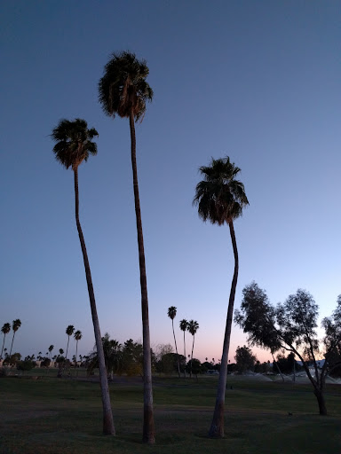 Golf Club «Hillcrest Golf Club», reviews and photos, 20002 N Star Ridge Dr, Sun City West, AZ 85375, USA