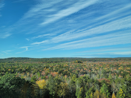 Resort «Foxwoods Resort Casino», reviews and photos, 350 Trolley Line Blvd, Mashantucket, CT 06338, USA