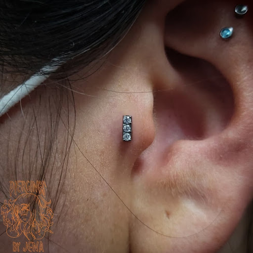 Explore forest sleeve tattoo ideas, creative tattoo ideas in Port Charlotte, available at Level Up Tattoo and Piercing