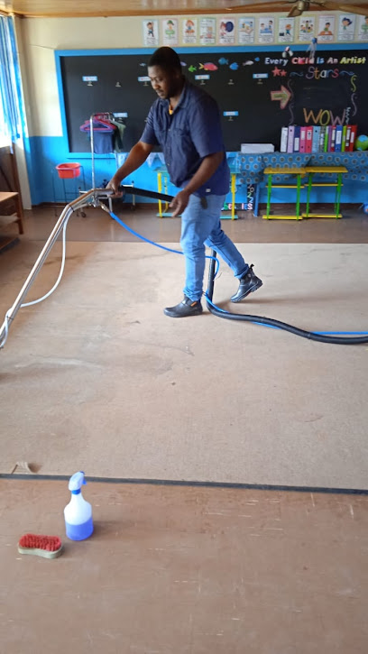 Upholstery cleaning service