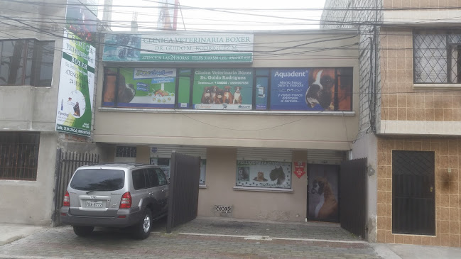 Opiniones de clinica veterinaria boxer en Quito - Veterinario