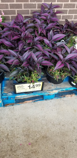 Shopping Mall «Calvert Village Shopping Center», reviews and photos, 198 W Dares Beach Rd, Prince Frederick, MD 20678, USA