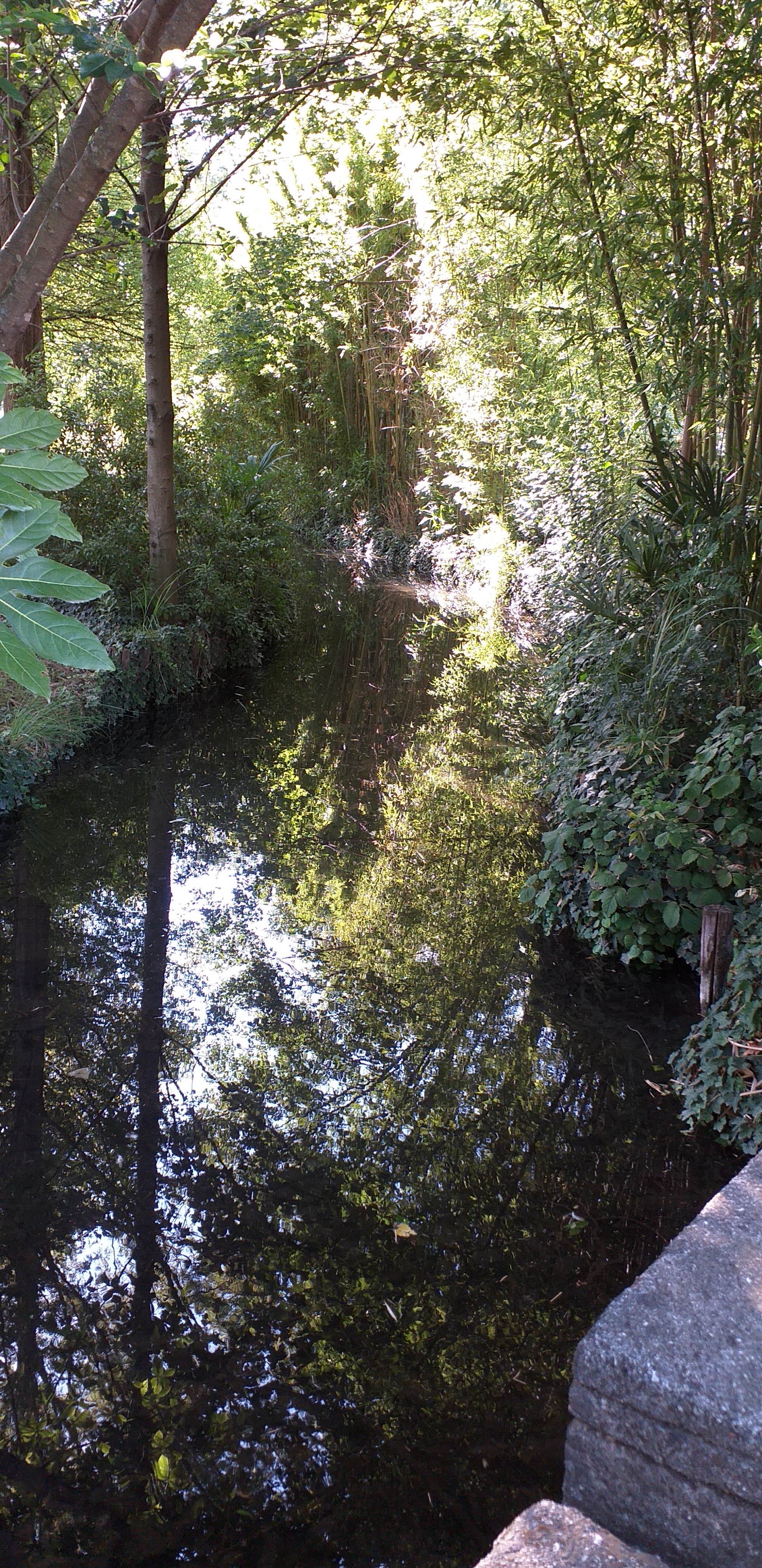 Photo n° 1 de l'avis de Heaven.c fait le 10/08/2019 à 15:55