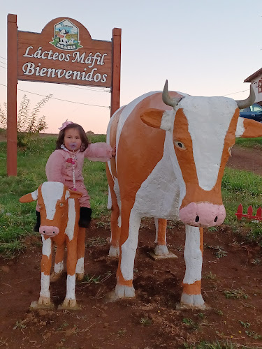 Lacteos Mafil - Valdivia