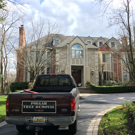 Tree Service «Polgar Tree Service & Removal LLC», reviews and photos