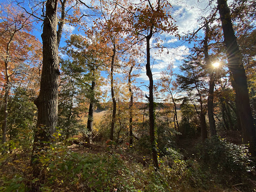 State Park «Hammerman Area Beach», reviews and photos, 7200 Graces Quarters Road, Middle River, MD 21220, USA