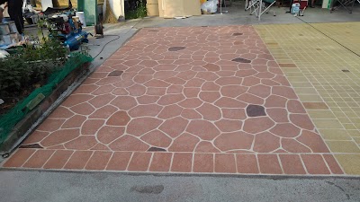 ツバキ創建