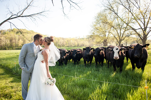 Wedding Venue «Haue Valley Weddings & Events», reviews and photos, 7100 Thornton Rd, Pacific, MO 63069, USA