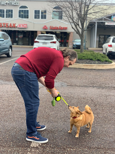 Auto Insurance Agency «State Farm: Jason Walborn», reviews and photos