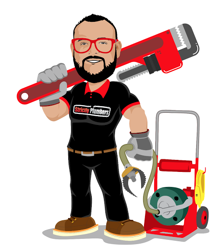 Strictly Plumbers image