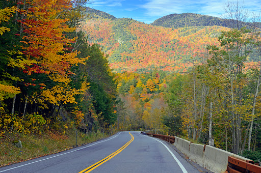 Insurance Agency «Maya Assurance Co», reviews and photos