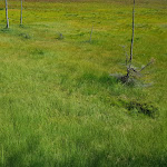 Photo n°4 de l'avis de ARK. fait le 11/08/2020 à 12:25 sur le  Arberseehaus à Bayerisch Eisenstein