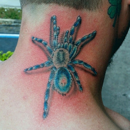 Tattoo Shop «Black Rose Tattoo Shop», reviews and photos, 3300 W Hillsboro Blvd, Deerfield Beach, FL 33442, USA