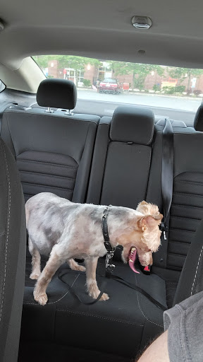 Pet Supply Store «PetSmart», reviews and photos, 2122 N 2nd St, Millville, NJ 08332, USA