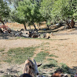 Photo n° 4 de l'avis de Emmanuelle.u fait le 21/08/2022 à 14:05 pour Château de Lussan à Lussan