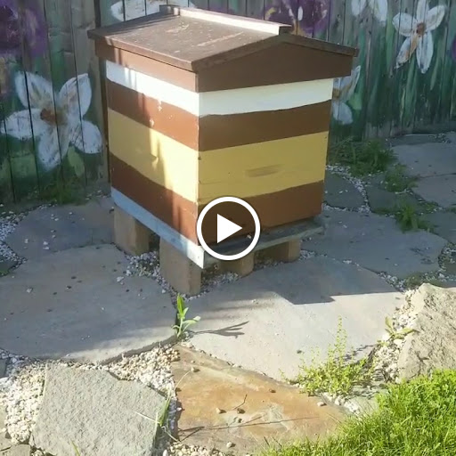 Museum «Insectropolis», reviews and photos, 1761 U.S. 9, Toms River, NJ 08755, USA