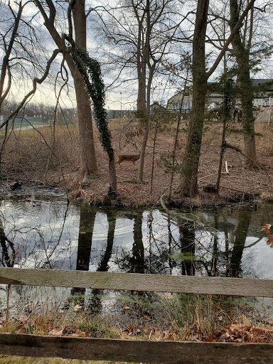 Golf Course «Smithtown Landing Golf Course», reviews and photos, 495 Landing Ave, Smithtown, NY 11787, USA