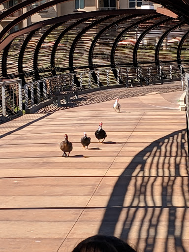 Shopping Mall «Shops At Dos Lagos», reviews and photos, 2780 Cabot Dr #140, Corona, CA 92883, USA