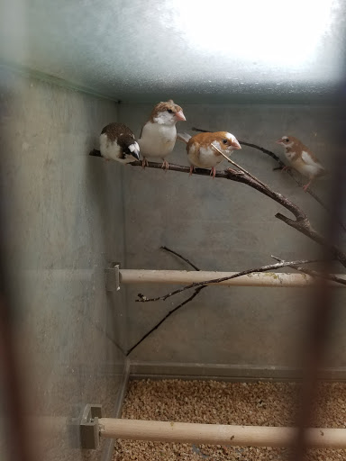 Pet Store «Ark Pet Shop», reviews and photos, 2400 W Lincoln Hwy, Merrillville, IN 46410, USA