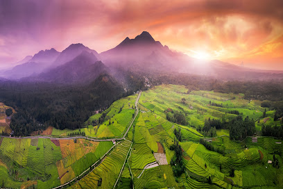 photography, landscape, adobe stock, adobe, microstock, mountain, paddy fields, asia, shutterstock