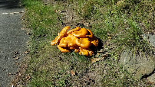 Golf Course «Pease Golf Course», reviews and photos, 200 Grafton Rd, Portsmouth, NH 03801, USA